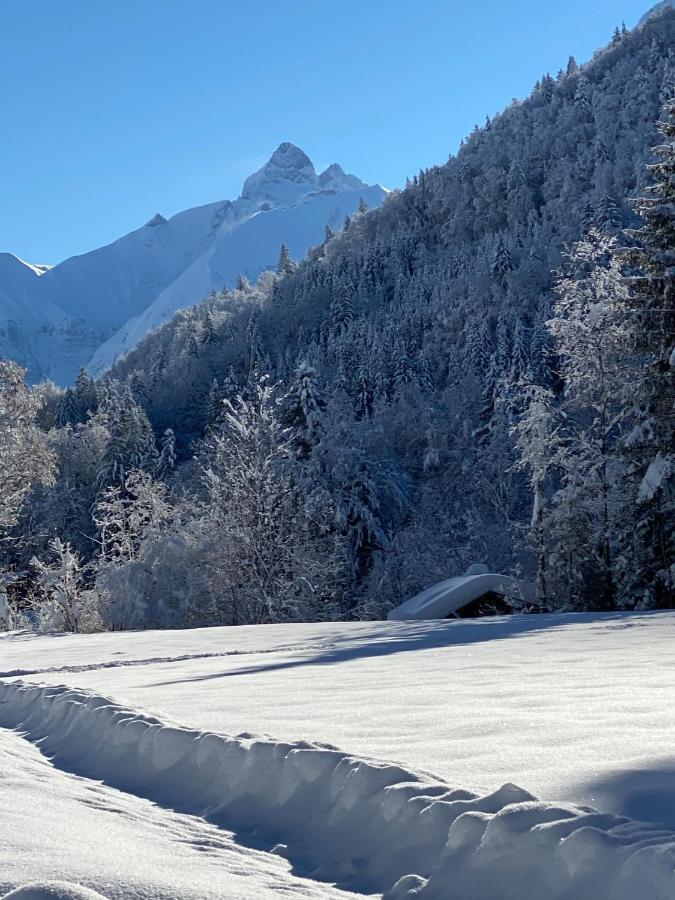 Landhaus Am Plattenbichl - Luxus Apartment Mit Privat-Pool Und Sauna - Im Sommer Bergbahn Inklusive Oberstdorf Zewnętrze zdjęcie