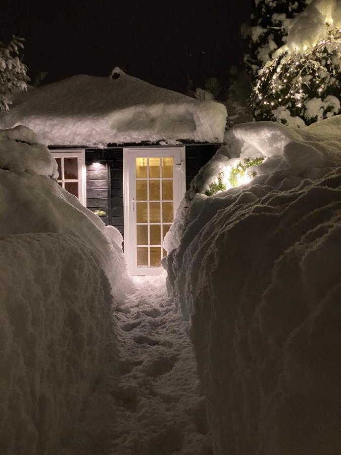 Landhaus Am Plattenbichl - Luxus Apartment Mit Privat-Pool Und Sauna - Im Sommer Bergbahn Inklusive Oberstdorf Zewnętrze zdjęcie