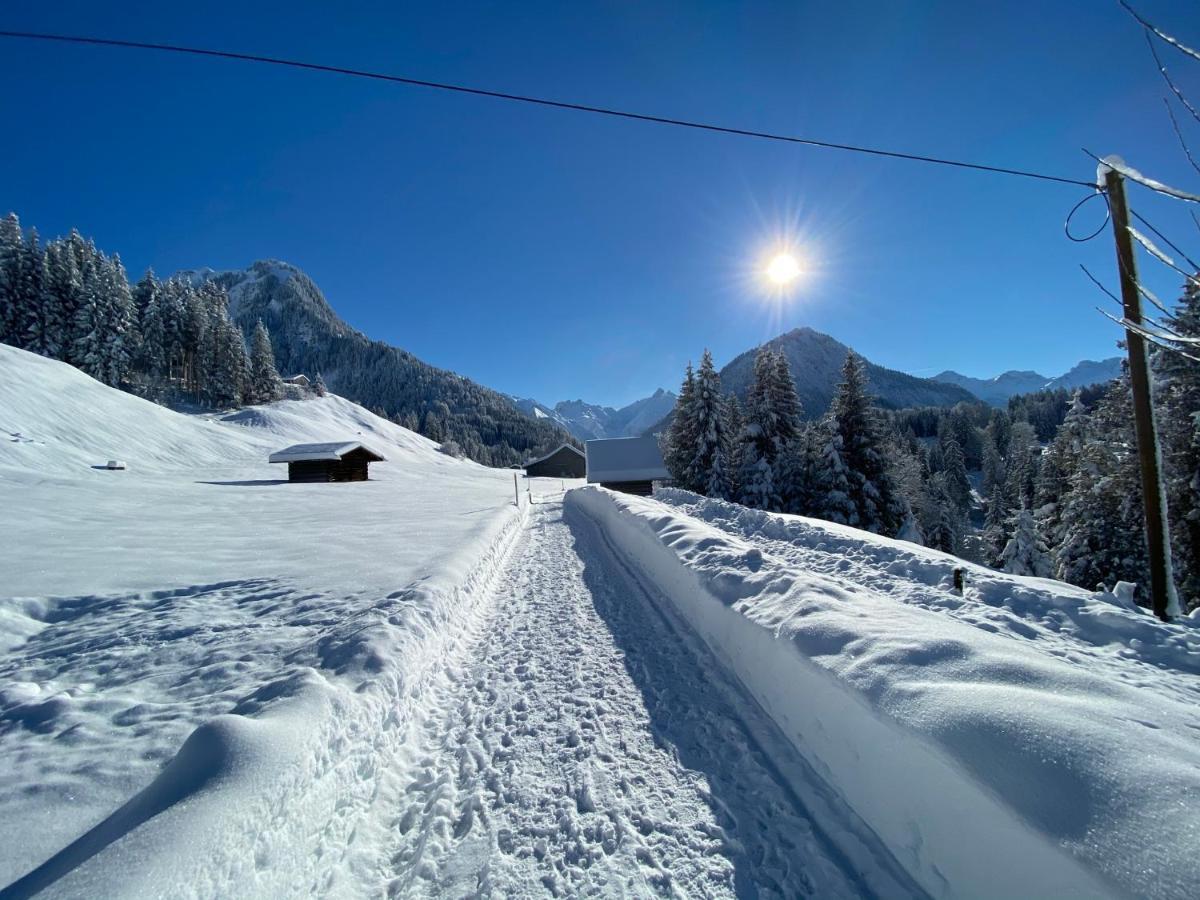 Landhaus Am Plattenbichl - Luxus Apartment Mit Privat-Pool Und Sauna - Im Sommer Bergbahn Inklusive Oberstdorf Zewnętrze zdjęcie